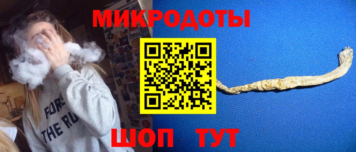 Владимир  купить наркотик  Вход с VPN  Псилоцибиновые грибы GOLDEN TEACHER 
