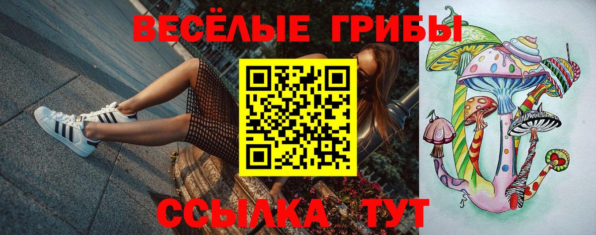 Псилоцибиновые грибы Magic Shrooms Владимир